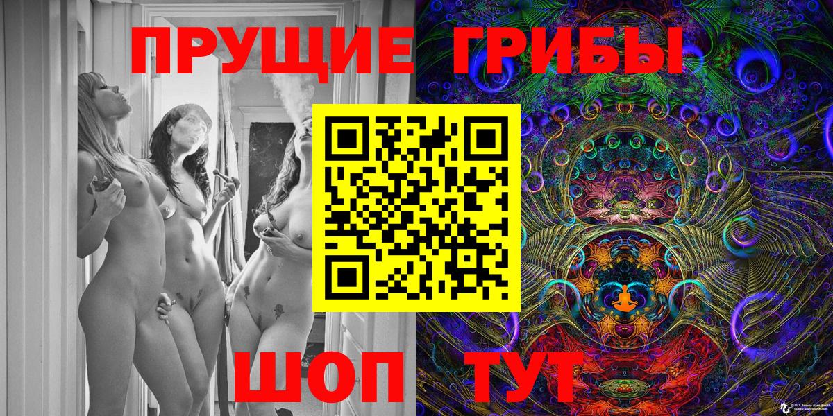Псилоцибиновые грибы Psilocybine cubensis Каменка
