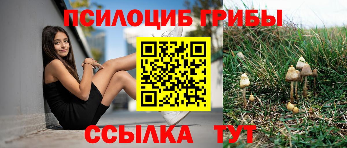Каменка  Галлюциногенные грибы мухоморы  Вход с VPN 