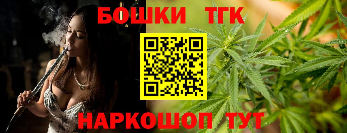 Бошки Шишки планчик Каменка